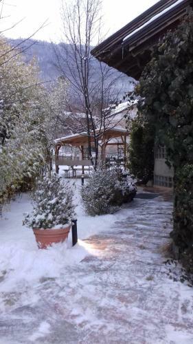 B&B Artemia
