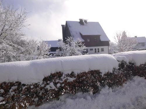 Comfortable Apartment In Langewiese With Private Garden