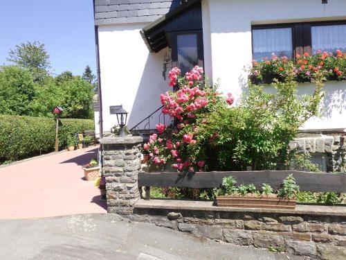Comfortable Apartment In Langewiese With Private Garden
