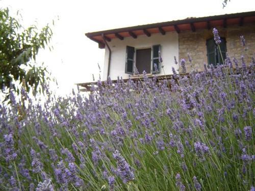 Casa Dell' Abbondanza B&B Agriturismo