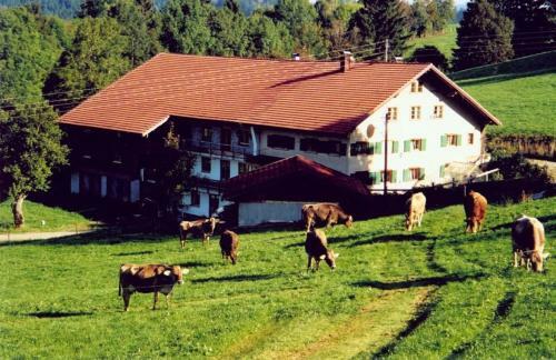Apartamento Ferienhof K�sel