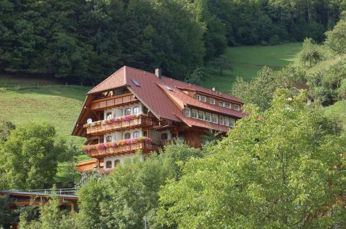 Aparthotel Ehrenm�ttlehof Fai�t