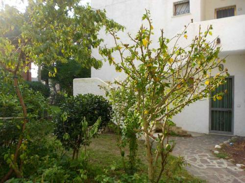 Apartment In Rosolina Mare 25002