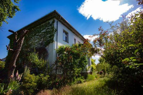 Apartamento Ferienwohnung Fl�ming