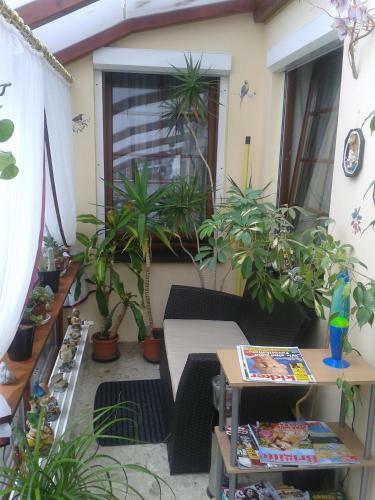 Hostal Hotelpension Schwalbennest