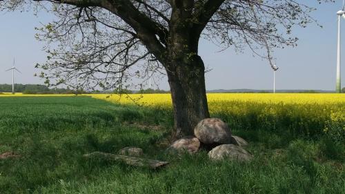 Nigel Restaurant & Hotel Im Wendland