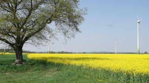 Nigel Restaurant & Hotel Im Wendland