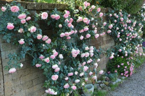 B&B Il Trebbio