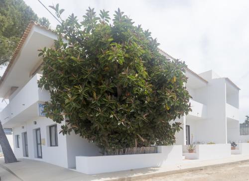 Apartamentos Playamar - Formentera Break