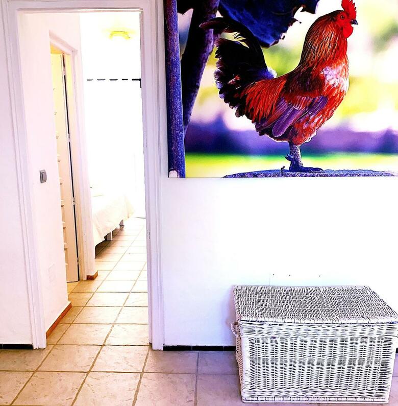 Apartamento Bungalows Sa Sargantana