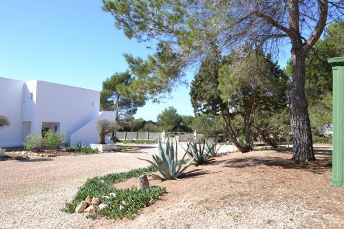 Apartamentos Estel