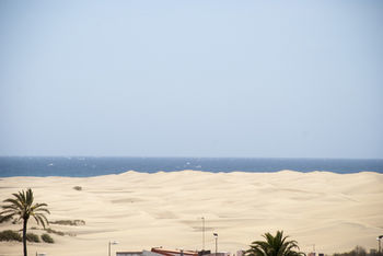 El Paseo Apartments