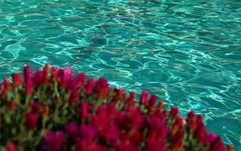 Hotel Auberge Cavaliere