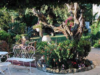 Hotel H�tel Miramar
