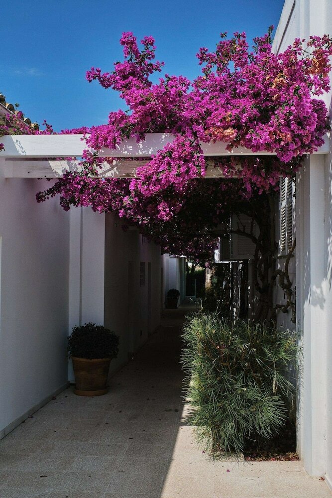 Hotel Prinsotel Mal Pas
