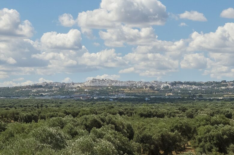 Bed & Breakfast Masseria Palombara Grande