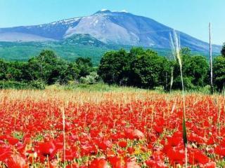 Hotel Parco Dell'etna