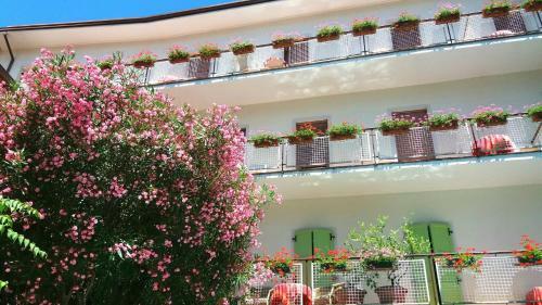 Eco Hotel Zanella
