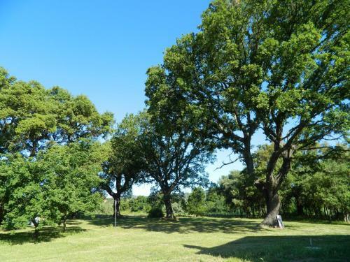 Bed & Breakfast Podere Le Querce