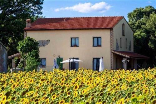 Bed & Breakfast Podere Le Querce