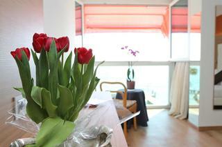 Kriss Internazionale Hotel
