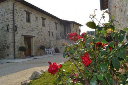Bed And Breakfast Madonna Del Latte