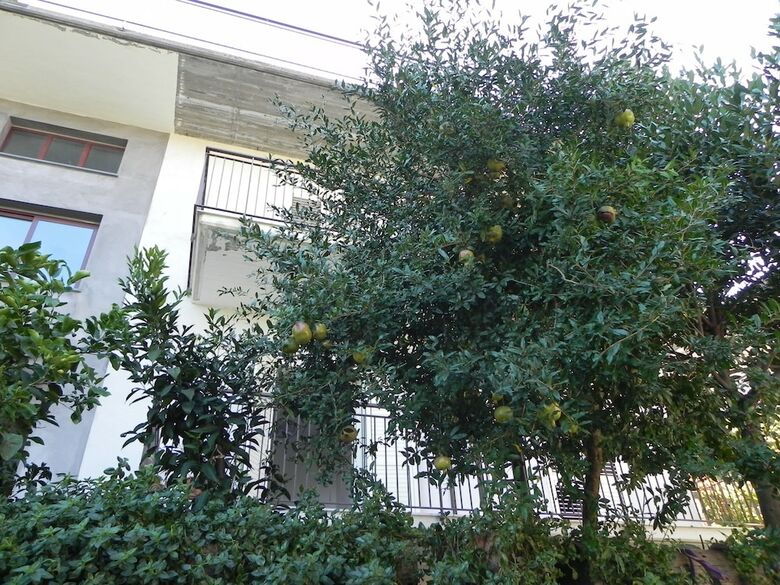 Hostal Affittacamere Bellavista