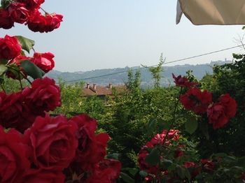 Agroturismo Agriturismo La Ca' D'olga