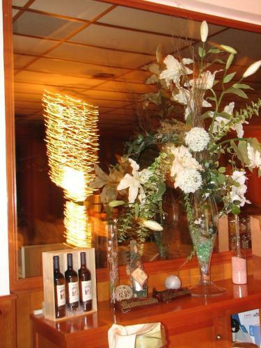 Hotel Velcamare