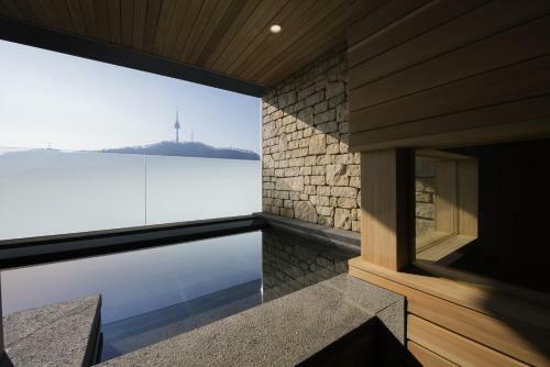 Hotel Ibis Styles Ambassador Seoul Myeong-dong