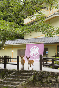 Miyajima Morinoyado