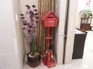Hostal Mizo Hotel