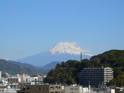 Shizuoka Victoria Hotel