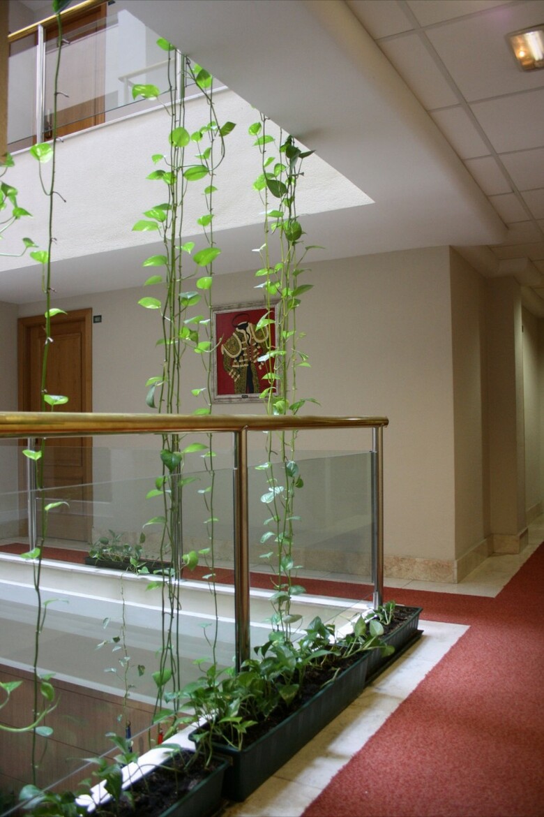 Hotel Torremar
