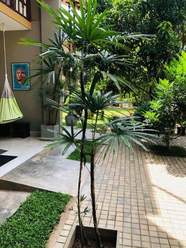 Hostal Peacock Villa