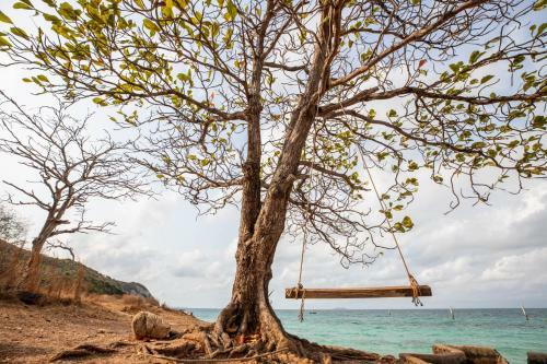 Hotel Xanadu Beach Resort