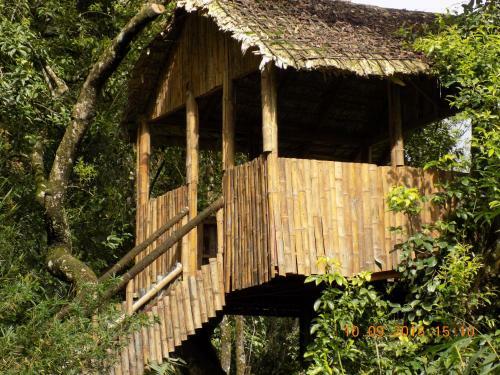 Hotel Tea Valley Resort