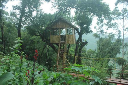 Hotel Tea Valley Resort