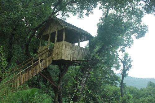 Hotel Tea Valley Resort