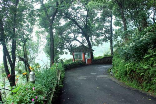 Hotel Tea Valley Resort
