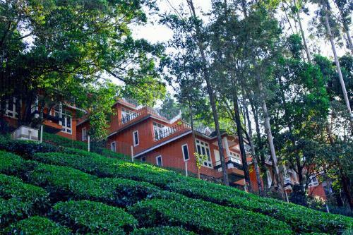 Hotel Tea Valley Resort