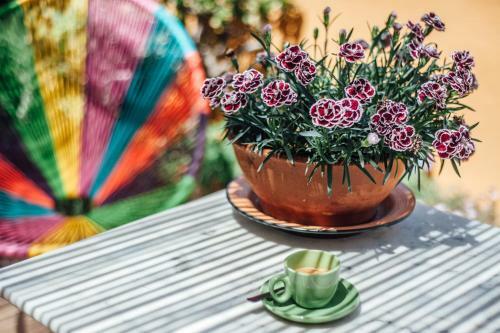 Bed & Breakfast Millequattrocento