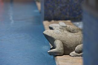 Hotel Le Meridien Pune