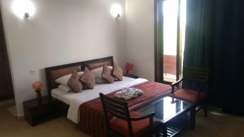 Bed & Breakfast Golden Palm Suites