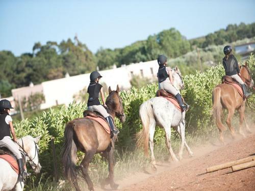 Hotel Masseria Bandino