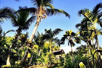 Hotel Habitation Grande Anse