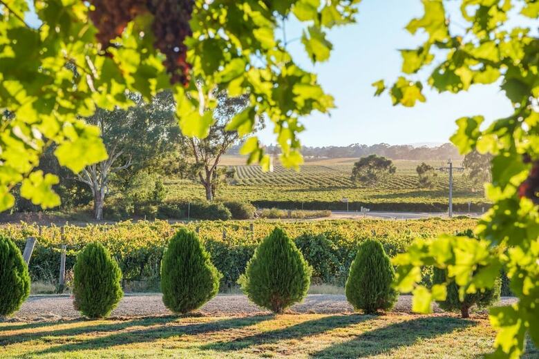 Villa Barossa Shiraz Estate