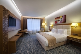 Hotel Holiday Inn Baku