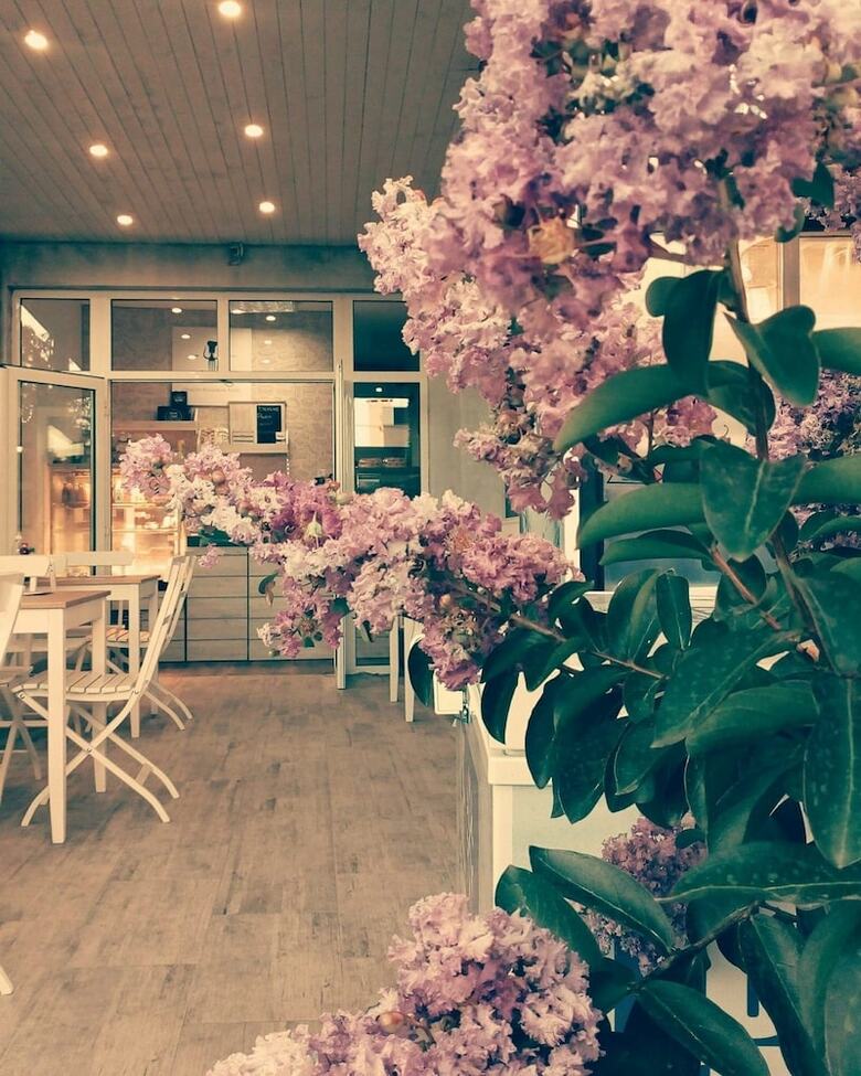 Hostal Dream House