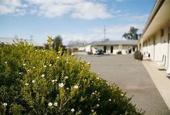 Merivale Motel